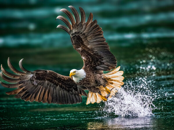 Photograph Benny Chung Lift Up on One Eyeland