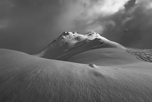 Photograph Ollivier Marc Sugarcoated on One Eyeland