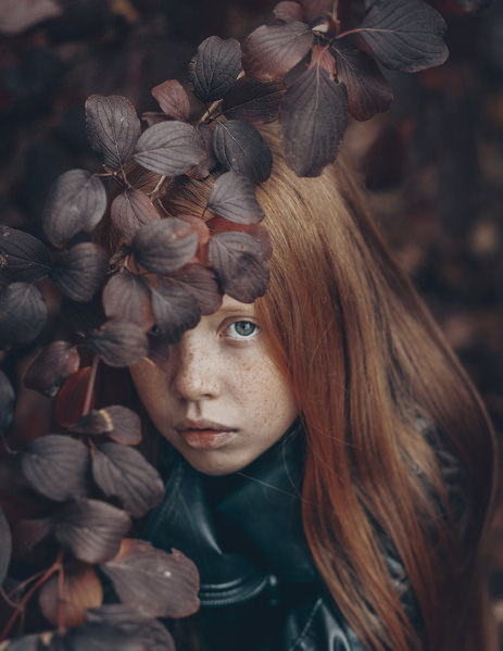 Photograph Veronika Gergert Leaves on One Eyeland