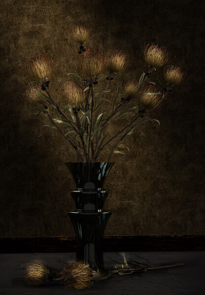 Photograph Alexandre Utrabo Flor on One Eyeland