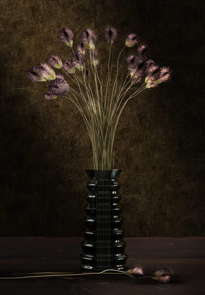 Photograph Alexandre Utrabo Flor3 on One Eyeland