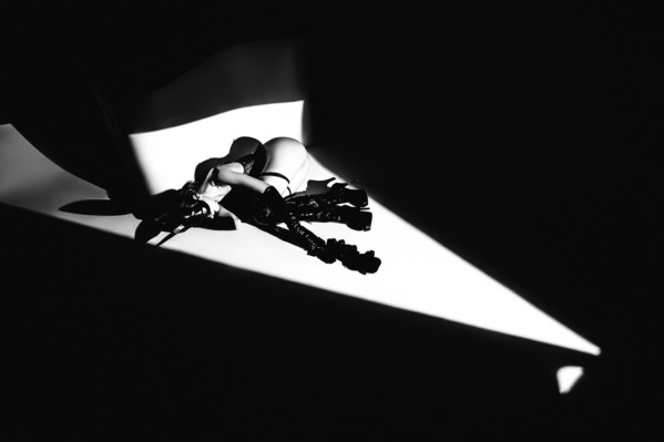 Photograph Ruslan Bolgov Requiem For A Rose on One Eyeland