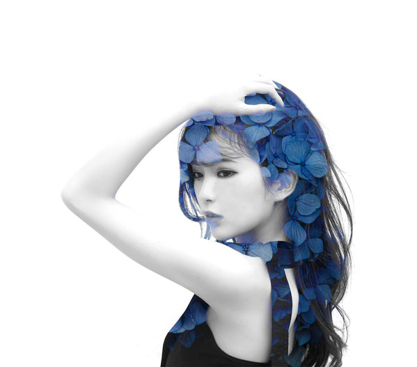 Photograph Setsuna Kurouzu Hydrangea on One Eyeland
