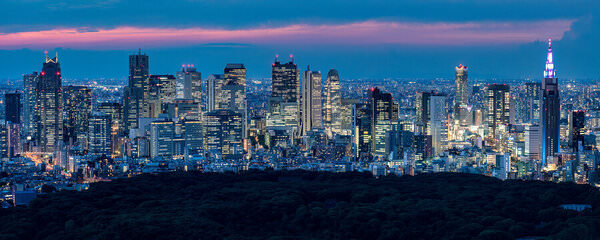 Photograph Gary E Karcz Blue Hour Tokyo on One Eyeland