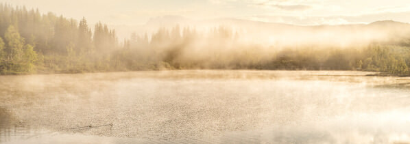 Photograph Petri Damsten Morning Mist on One Eyeland