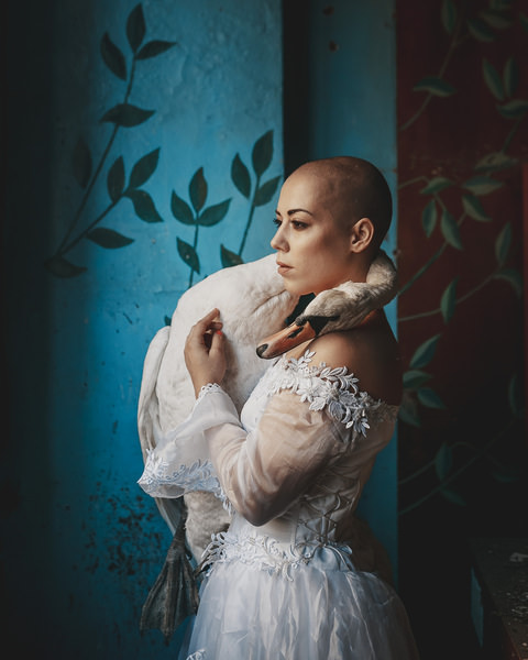 Photograph Veronika Gergert Swan on One Eyeland