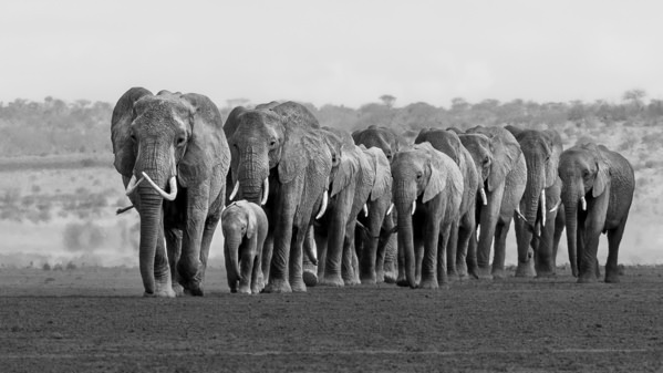 Photograph Alessandro Marena Walk The Line on One Eyeland