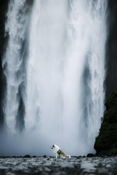 Photograph Ollivier Marc Frozen on One Eyeland