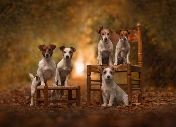 Photograph Barbara Cesari Five on One Eyeland