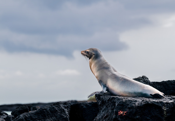 Photograph Amit Misra Dont Sneak Up On Me on One Eyeland