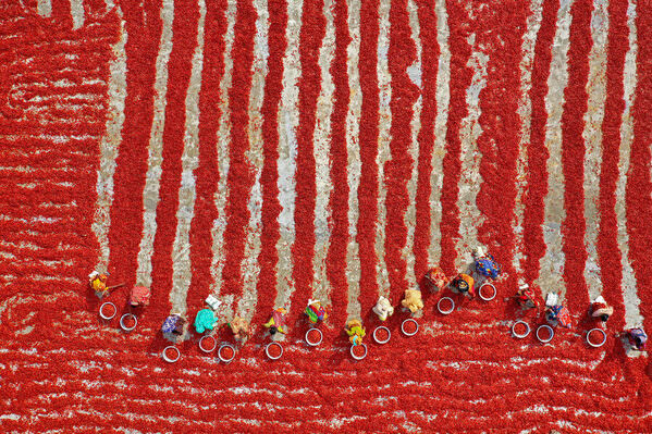 Photograph Azim Khan Ronnie Red Chilies on One Eyeland