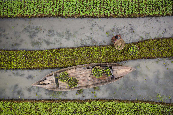 Photograph Azim Khan Ronnie Sustainable Agriculture on One Eyeland