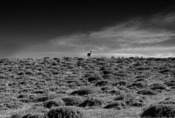 Photograph Amit Misra On The Horizon on One Eyeland