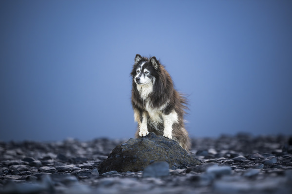 Photograph Ollivier Marc Standing Tall on One Eyeland