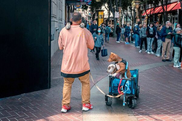 Photograph Eric Davidove Mans Best Friend on One Eyeland