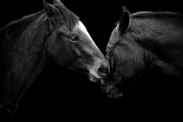 Photograph Ollivier Marc Caring on One Eyeland