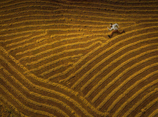 Photograph Golden Brown I Make My Own Lines on One Eyeland