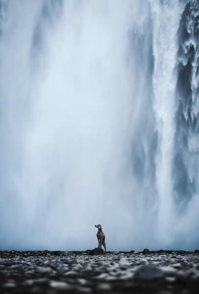 Photograph Ollivier Marc So Proud on One Eyeland