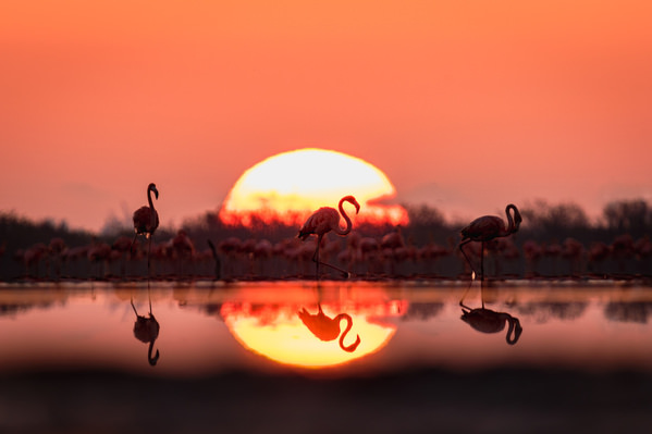 Photograph Mike Diaz Perfect Nature Moment on One Eyeland