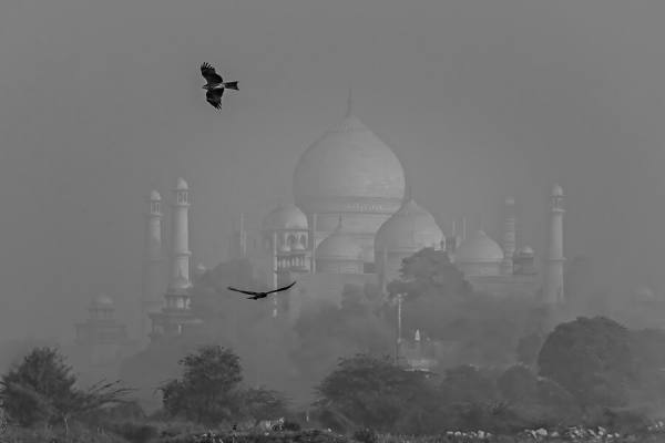Photograph Marco Ricca Taj Mahal In The Morning Mist on One Eyeland