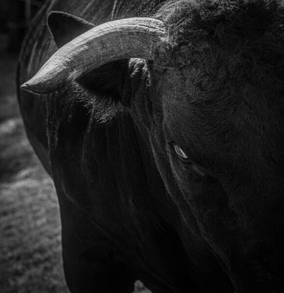 Photograph Setsuna Kurouzu Bullseye on One Eyeland