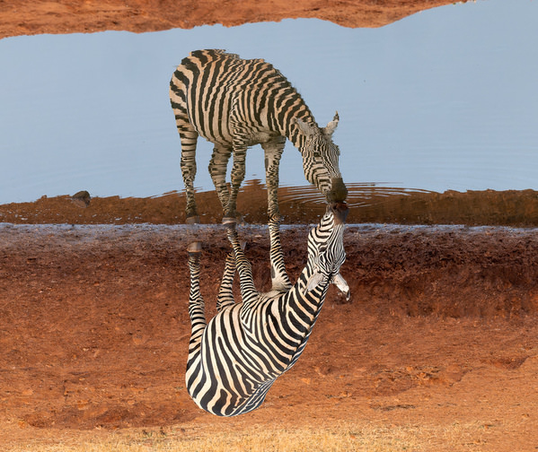 Photograph Luiz Paulo Grinberg Drinking In The Sky on One Eyeland