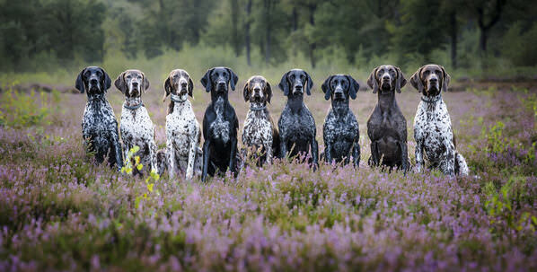 Photograph Ollivier Marc A Perfect Sit on One Eyeland