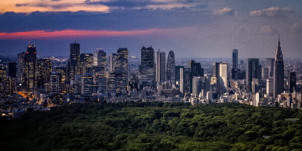 Photograph Gary E Karcz Tokyo Transition on One Eyeland