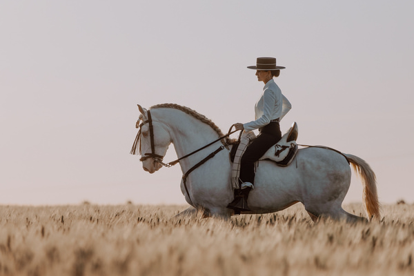 Photograph Fabienne Gassmann Through The Wheat Field on One Eyeland