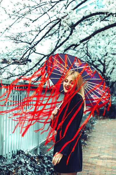 Photograph Ruslan Bolgov Sakura Showers on One Eyeland