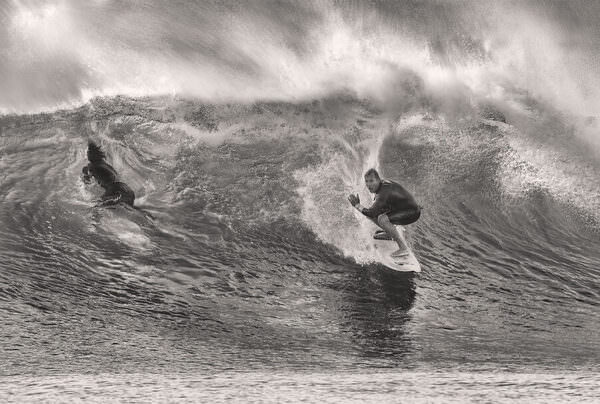 Photograph Steve Turner Camera Action on One Eyeland