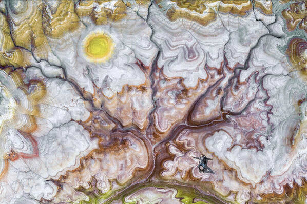 Photograph Golden Brown Lost In The Natural Abstract on One Eyeland