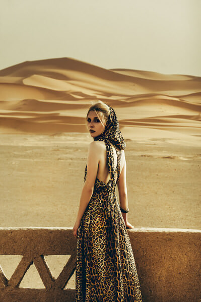 Photograph Ruslan Bolgov The Desert Tiger on One Eyeland