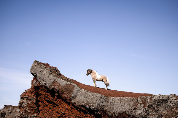 Photograph Fabienne Gassmann On The Way To The Moon on One Eyeland