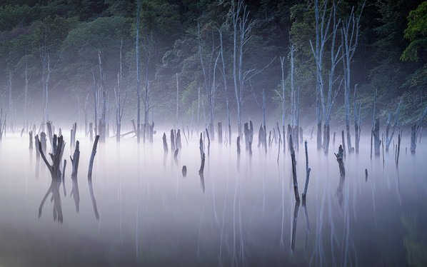 Photograph Yuusei Nagahata Lakeside In The Morning Mist on One Eyeland