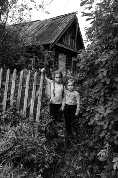 Photograph Alexander Shilov Asp_2142 on One Eyeland