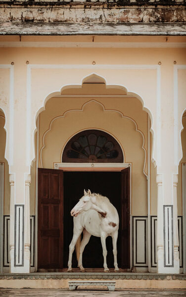 Photograph Fabienne Gassmann Guardian on One Eyeland