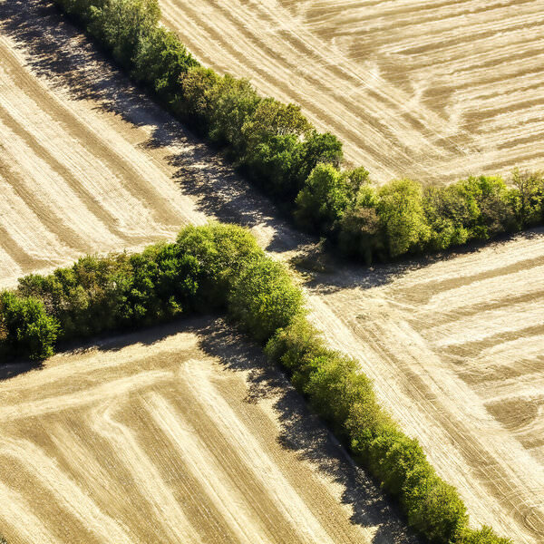 Photograph Larry Hamill Trees And Fields on One Eyeland