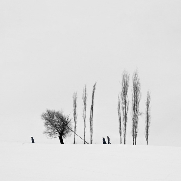 Photograph Mohammad Alipour Hunting On A Winter Day on One Eyeland