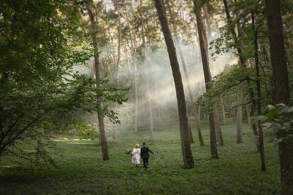 Photograph Simona Valiuskyte Forest Escape on One Eyeland
