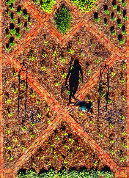 Photograph Larry Hamill Landscaper on One Eyeland