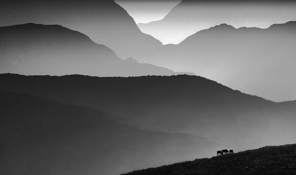 Photograph Artin Darvishi Scale on One Eyeland