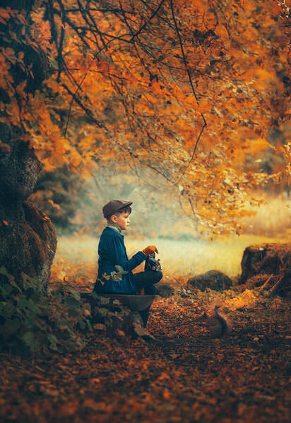 Photograph Liudmila Kostina Autumn on One Eyeland