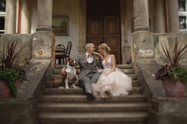 Photograph Simona Valiuskyte Hearts And Paws on One Eyeland