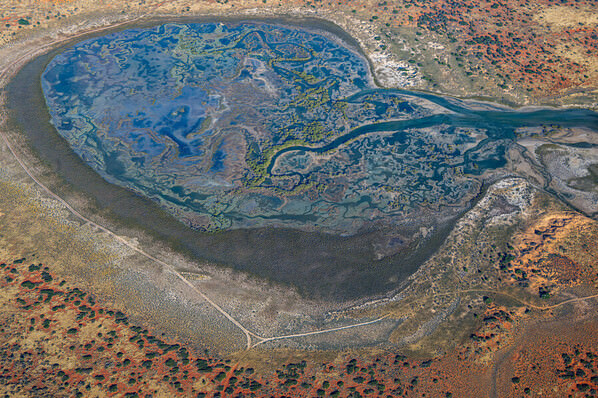 Photograph Satheesh Nair Shark Bay The Brain 9938 on One Eyeland