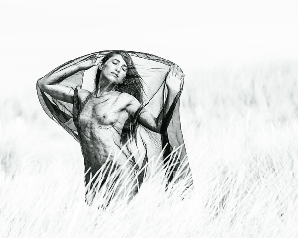Photograph Thierry Smets Spider on One Eyeland