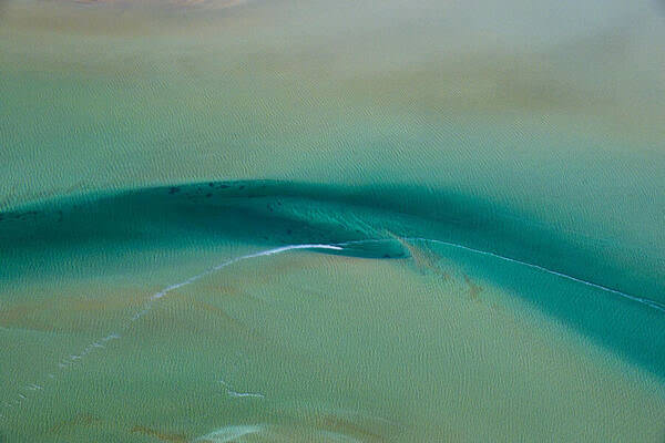 Photograph Satheesh Nair Shark Bay 8146 on One Eyeland