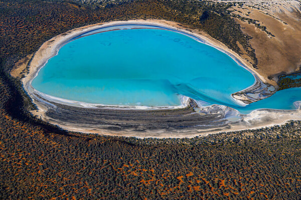 Photograph Satheesh Nair Shark Bay 9599 on One Eyeland