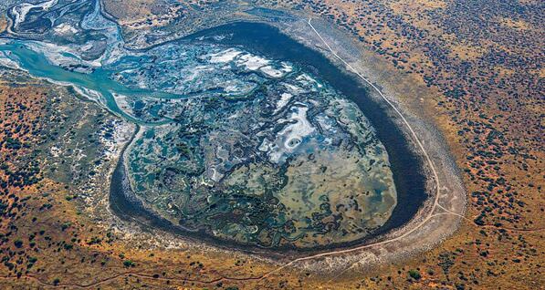 Photograph Satheesh Nair Shark Bay The Brain 0054 on One Eyeland