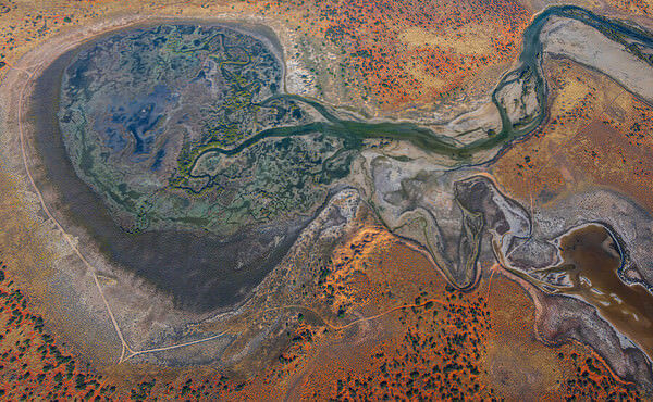 Photograph Satheesh Nair Shark Bay The Brain 0199 on One Eyeland